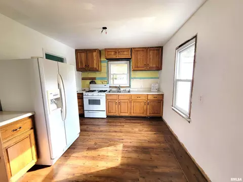 225 Hickory St, Flora, IL 62839 photo 17