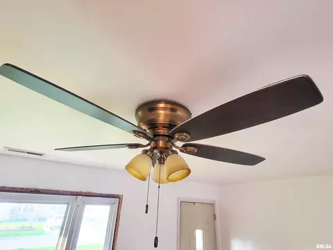 225 Hickory St, Flora, IL 62839 photo 15