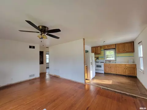225 Hickory St, Flora, IL 62839 photo 14