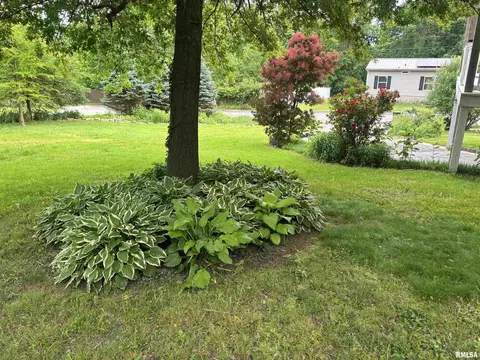 Exterior - 680 Stratton St, Chester, IL 62233 photo 4 of 6