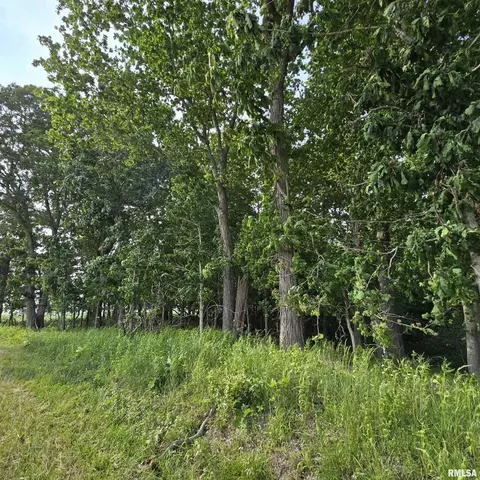 000 Wilson Rd, Kinmundy, IL 62854