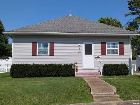 1205 Burgess Ave, Johnston City, IL 62951