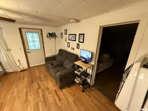 41 Cache Ave, Buncombe, IL 62912 photo 16