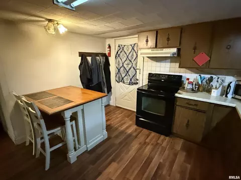 41 Cache Ave, Buncombe, IL 62912 photo 22