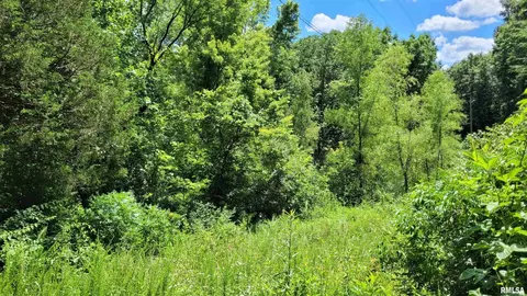 0003 Tbd Cross Creek Rd, Cobden, IL 62920