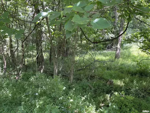 lot246 Mark Dr, Goreville, IL 62939