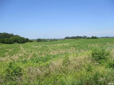 0000 Bean Rd, Whittington, IL 62897 photo 8