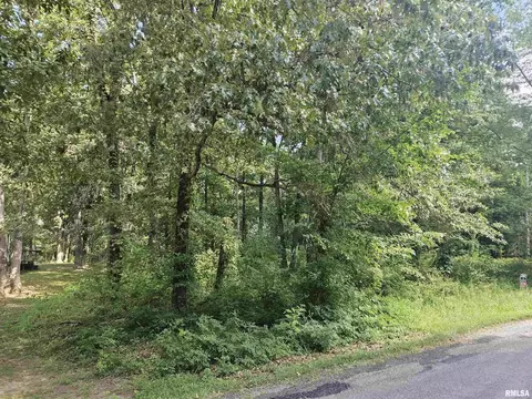 0000 White Birch Ct, Benton, IL 62812