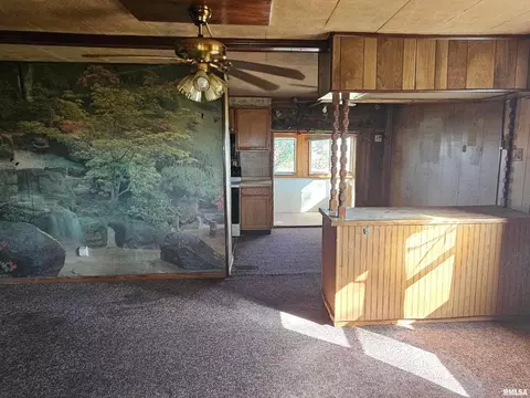 Living - 5274 Norton Rd, Sandoval, IL 62882 photo 3 of 4