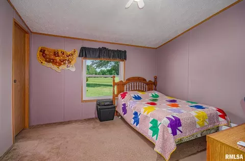 Bedroom - 16807 Kendall Rd, Mount Vernon, IL 62864 photo 5 of 5