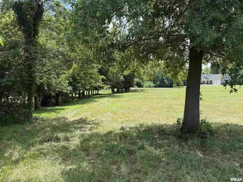 102 Davis Dr, Watson, IL 62473 photo 2