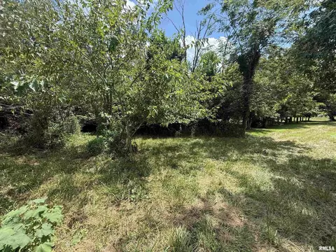 102 Davis Dr, Watson, IL 62473 photo 8
