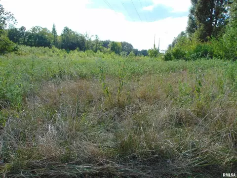 6589 State Route 154 Hwy, Tamaroa, IL 62888