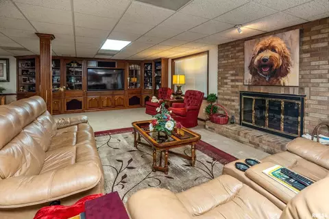 Living - 15866 Moellers Rd, Marion, IL 62959 photo 9 of 10