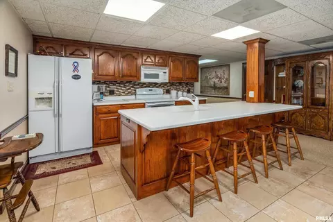 Kitchen - 15866 Moellers Rd, Marion, IL 62959 photo 10 of 10