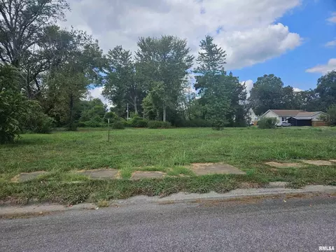 0000 Buchanan St, Benton, IL 62812 photo 23