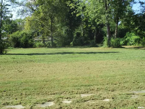 0000 Buchanan St, Benton, IL 62812 photo 12