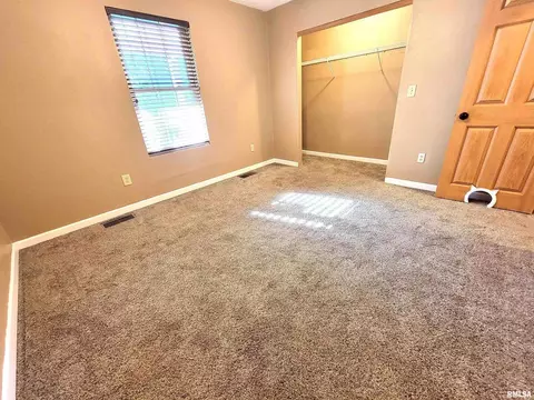 Other - 2517 Cherrybark Ln, Flora, IL 62839 photo 19 of 32