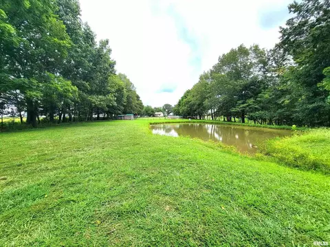 Exterior - 2517 Cherrybark Ln, Flora, IL 62839 photo 3 of 27