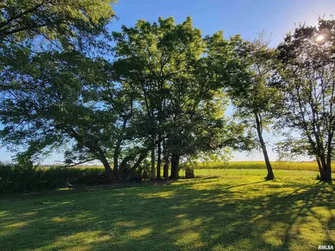 Exterior - 2517 Cherrybark Ln, Flora, IL 62839 photo 21 of 27