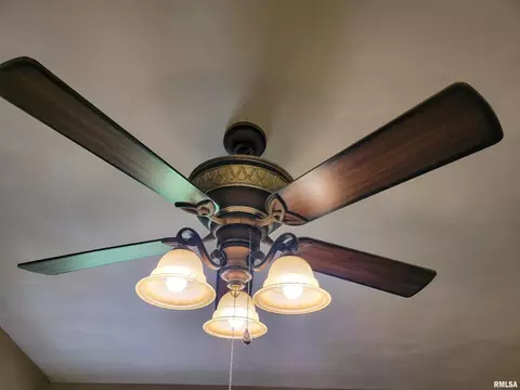 Other - 2517 Cherrybark Ln, Flora, IL 62839 photo 17 of 32