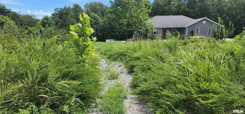 85 Maggie Ln, Makanda, IL 62958