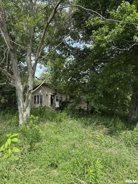 9865 N Millionaires Rd, Mulkeytown, IL 62865