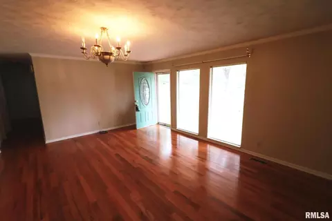 Living - 101 Lingale St, Marion, IL 62959 photo 2 of 5