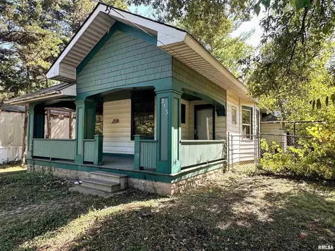Exterior - 313 Castleton Ave, Mount Vernon, IL 62864 photo 5 of 12