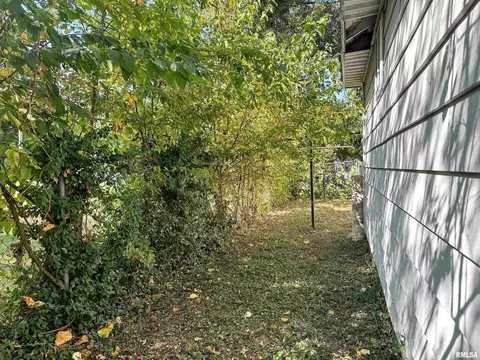 Exterior - 313 Castleton Ave, Mount Vernon, IL 62864 photo 8 of 12