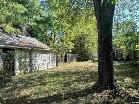 Exterior - 313 Castleton Ave, Mount Vernon, IL 62864 photo 10 of 12
