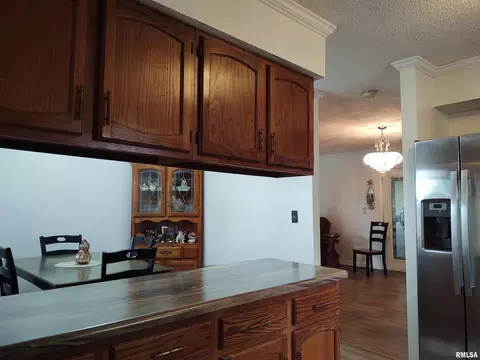 110 Stork St, Anna, IL 62906 photo 9