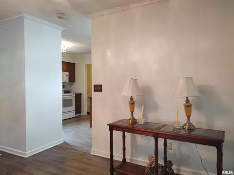 110 Stork St, Anna, IL 62906 photo 14