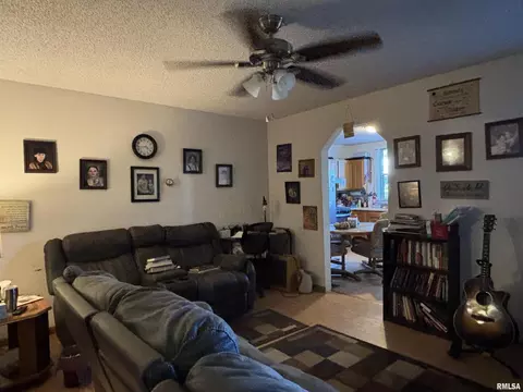 119 Warren St, Anna, IL 62906 photo 12