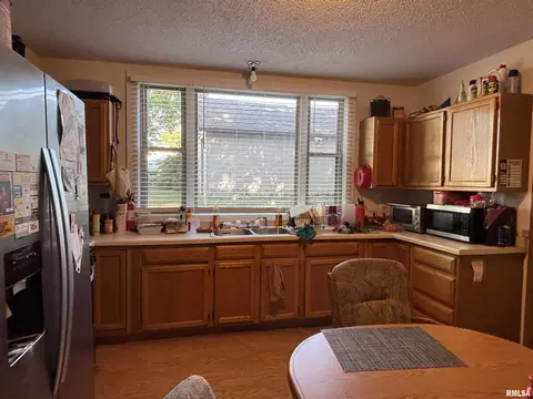 119 Warren St, Anna, IL 62906 photo 16