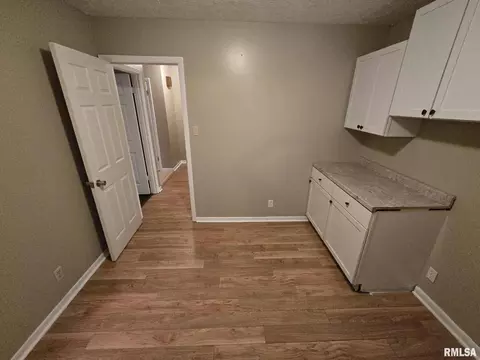 12152 E Meadows Dr, Mount Vernon, IL 62864 photo 44