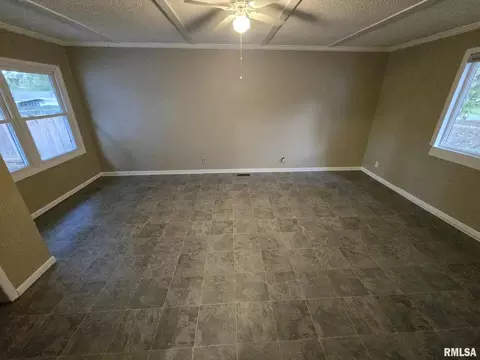 12152 E Meadows Dr, Mount Vernon, IL 62864 photo 48