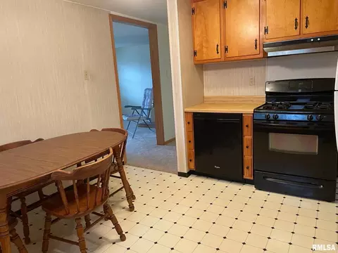 687 5th St, Omaha, IL 62871 photo 5