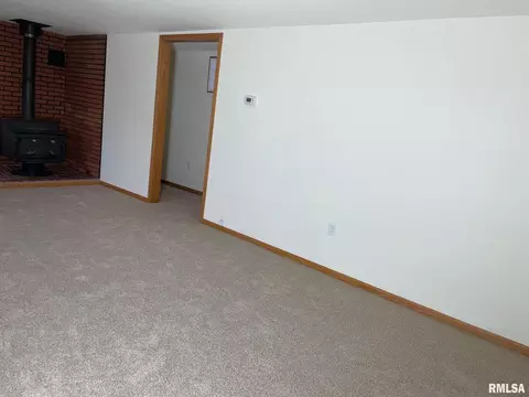 687 5th St, Omaha, IL 62871 photo 2