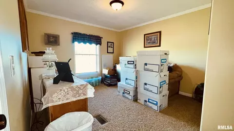 5197 Emmerson City Rd, Scheller, IL 62883 photo 27
