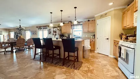 5197 Emmerson City Rd, Scheller, IL 62883 photo 14