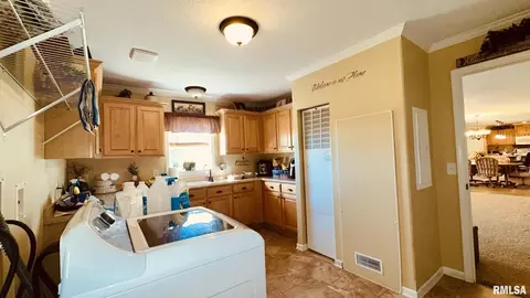 5197 Emmerson City Rd, Scheller, IL 62883 photo 19