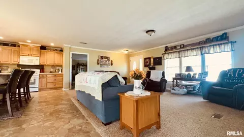 5197 Emmerson City Rd, Scheller, IL 62883 photo 12