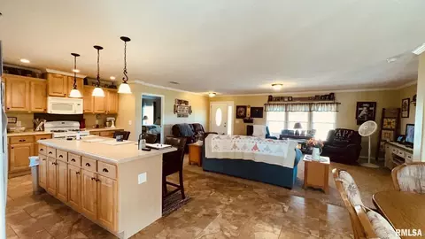 5197 Emmerson City Rd, Scheller, IL 62883 photo 13