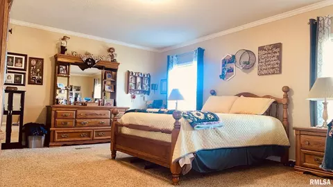 5197 Emmerson City Rd, Scheller, IL 62883 photo 20
