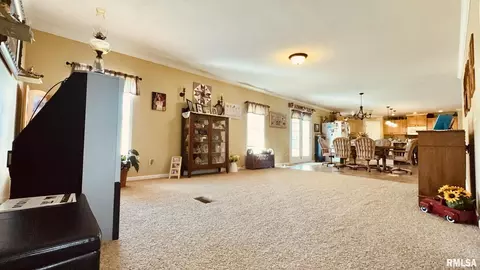 5197 Emmerson City Rd, Scheller, IL 62883 photo 16