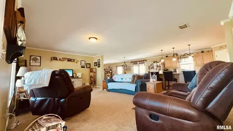 5197 Emmerson City Rd, Scheller, IL 62883 photo 11