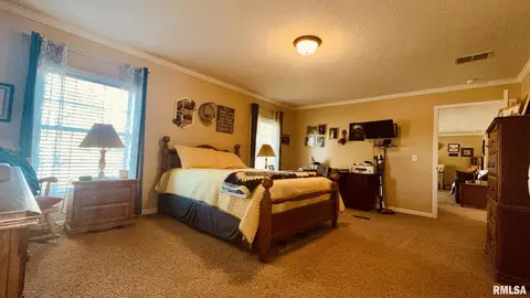 5197 Emmerson City Rd, Scheller, IL 62883 photo 21