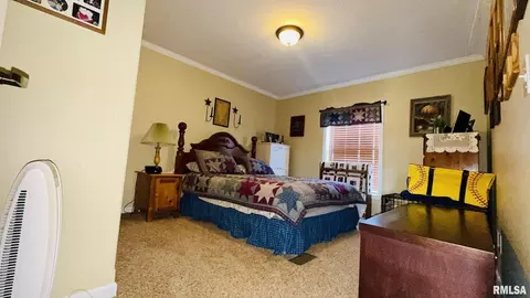 5197 Emmerson City Rd, Scheller, IL 62883 photo 24
