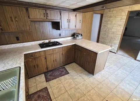 405 Saint Clair St, Odin, IL 62870 photo 7